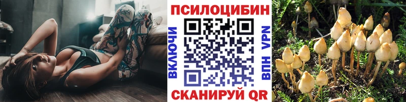 Купить  Костерёво  Псилоцибиновые грибы ЛСД 